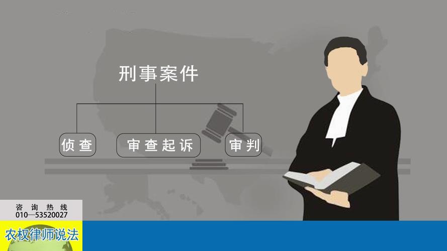 被害人律师能在刑事案件中起到哪些作用？